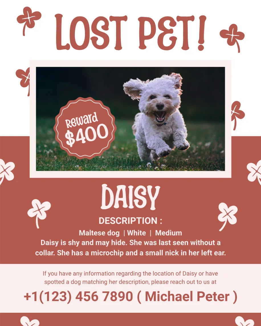 Lost Pet Example Kittl | The AI-First Design Platform for Creators
